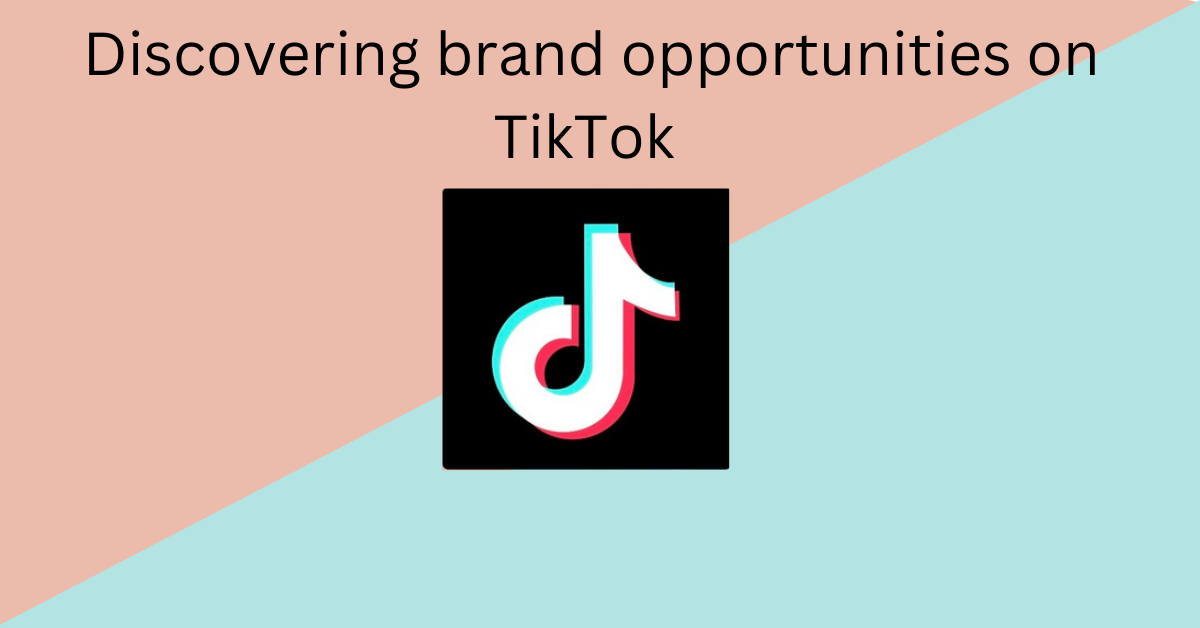 Snapshot of Tiktok Brand Partnership Opportunities
