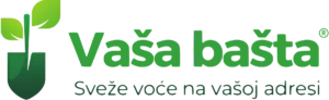 Vaša Bašta