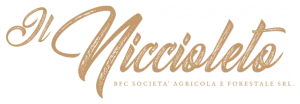 Il Nicciolete